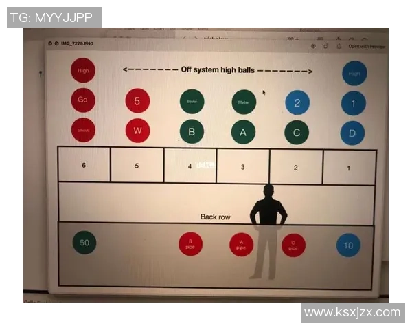 广州排球队反击体系解析与战术运用探讨